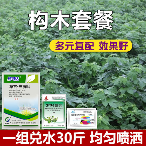 构木腐根见效快灌木拉拉藤杂草枯死药构木枯萎专用农药正品套餐