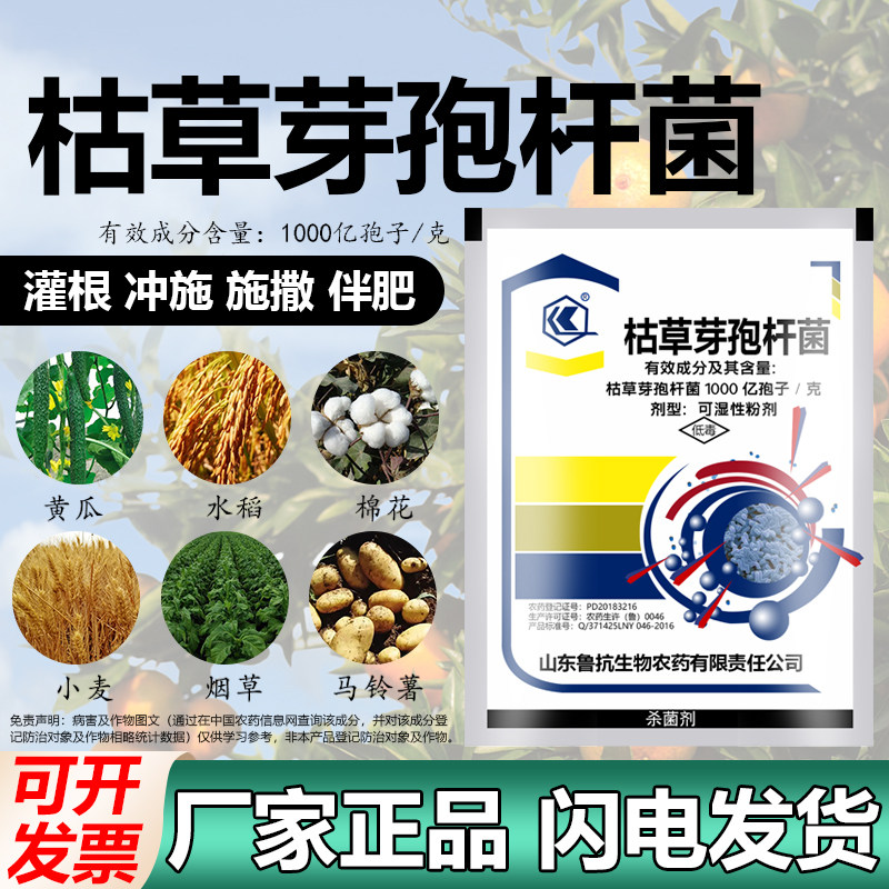 枯草芽孢杆菌1000亿孢子/克水稻棉花白粉病稻瘟病晚疫病杀菌剂