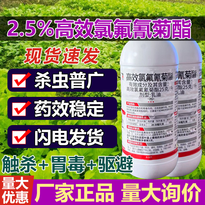 高效氯氰菊酯杀虫剂防治十字花科蔬菜菜青虫氯氢菊脂专用除虫药剂