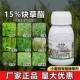 15%炔草酯脂小麦田苗后专用除草剂一年生单子叶杂草禾本科除草剂