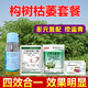 构树死根套餐见效快杂草灌木拉拉藤死根除构树专用强力农药除草剂