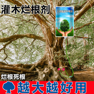 障碍树烂树死根剂除树烂根药强力吊袋除杂草灌木枯树根专用药神器