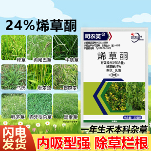 24%烯草酮除草剂冬油菜田大豆田苗后一年生禾本科杂草专用除草药