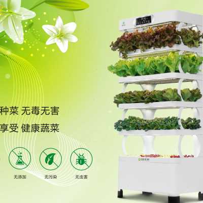 家庭蔬菜种植柜 无土栽培设备 智能叶菜种植机 水培阳台种菜机o