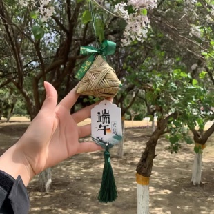 饰门把手挂件 端午节粽子香包手工编织香包香囊随身携包挂车挂装