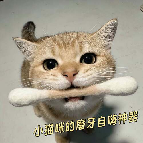 猫狗磨牙洁齿棉绳棒互动玩具