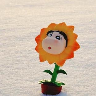 一颗盛开在冬日的向日葵小新 春日部花店第一弹 潮玩手办模型摆件