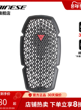 DAINESE/丹尼斯 PRO-ARMOR摩托车骑行服背板护胸护腰骑行护具防摔