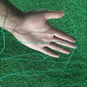 爬藤网葡萄黄瓜植物爬藤搭架网加强版 尼龙网牵牛花攀爬网家用园艺