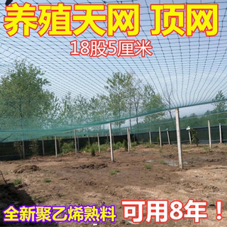 养殖网天网养鸡网防鸟顶网围栏防护网菜园耐用户外拦鸡防逃网