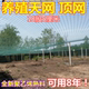 养殖网天网养鸡网防鸟顶网围栏防护网菜园耐用户外拦鸡防逃网