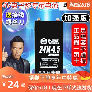 电子秤石墨烯超威玩具车蓄电池