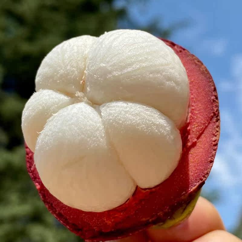 泰国山竹纯甜新鲜当季