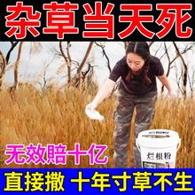 环泰铜除草烂根剂一扫光三年不长草烂根粉强力灭树粉散装除草神器