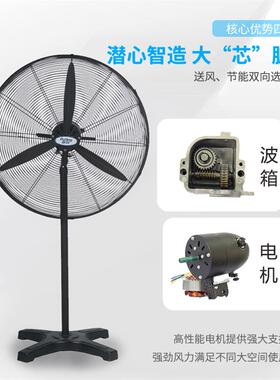 新款普风系列650MM750MM强力工业挂墙壁扇落地风扇DF650-TDF7包邮