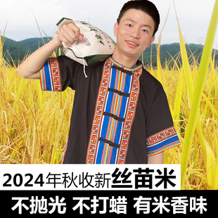 瑶自然广西2025年不抛光不打蜡长粒香软糯早稻5kg10斤农家猫牙米