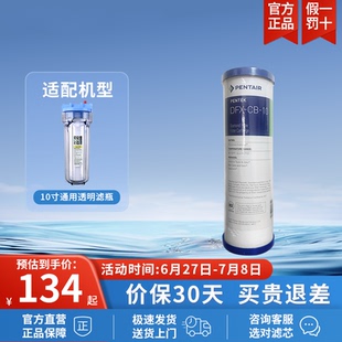 DFX 家用净水器 Pentair 10寸钻石流滤芯不包安装 滨特尔