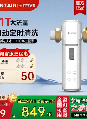 滨特尔全自动前置过滤器家用反冲洗11T流量全屋净水全铜防爆S260
