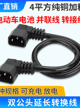 捷安特雅迪铁塔星恒电瓶公头放电