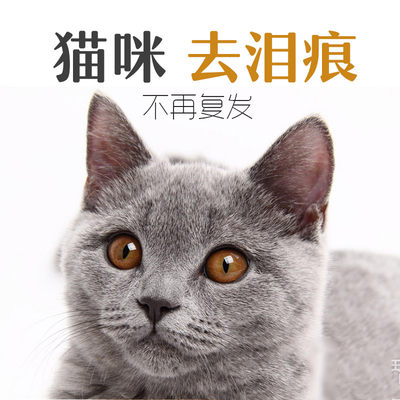 宠多滋猫咪泪痕神器眼部清洁