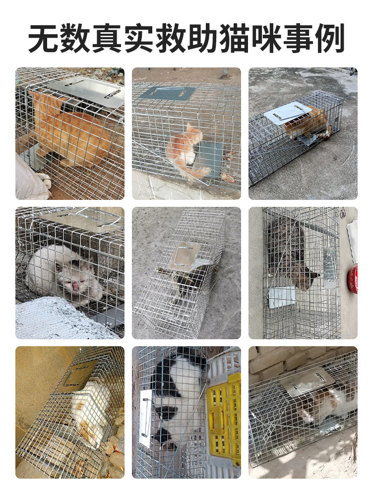 전자동 고양이 잡기 케이지 특수 고양이 잡기 케이지 대형 고양이 잡기 케이지 고양이 잡기 유물 고양이 잡기 고양이 함정 야생 고양이 잡기 클립