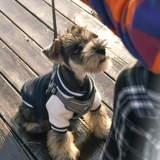 Зимняя бейсбольная форма, кардиган, зимний пуховик, куртка