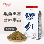 Chim sáo, chim, thức ăn, anh em, thức ăn, thức ăn, myna, thức ăn đặc biệt, chim, thức ăn vật nuôi, dinh dưỡng, thức ăn cho chim, cung cấp lừa - Chim & Chăm sóc chim Supplies