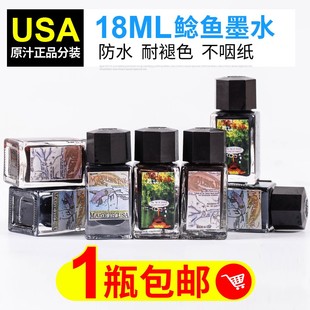 鲶鱼防水墨水淡彩永恒黑41棕北极熊棕水彩勾线防水不堵分装18ml
