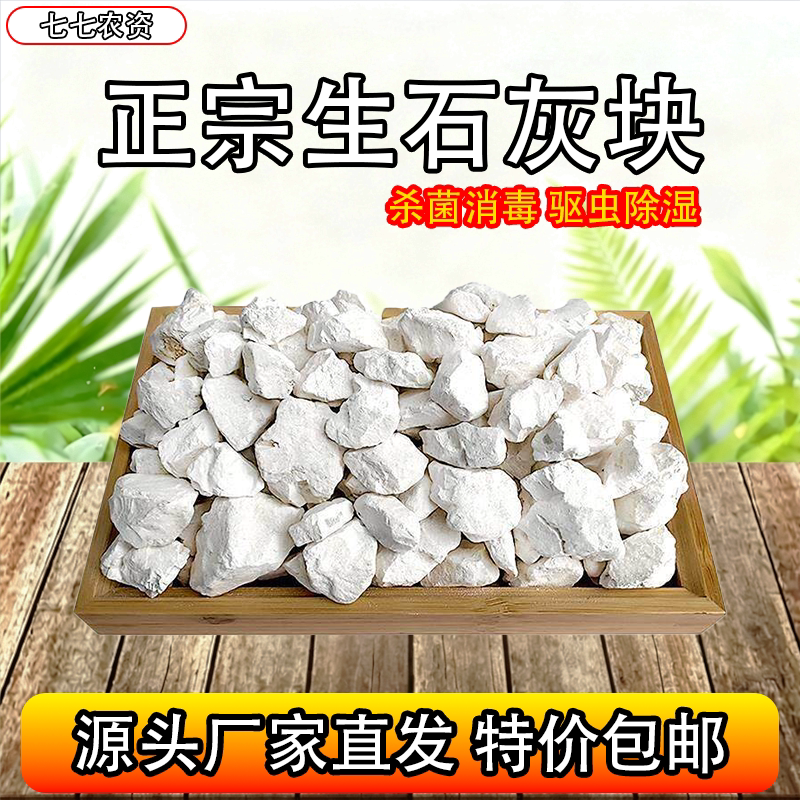 生石灰块批发农用刷树土壤改良钙