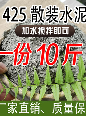 10斤散装水泥卫生间墙面裂缝速干