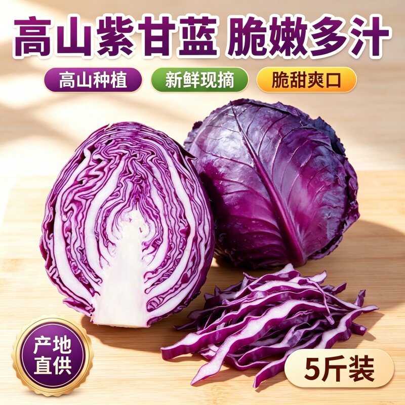 新鲜紫甘蓝10斤批发农家现摘脆嫩云南卷心菜椰菜紫包菜轻食代餐煮