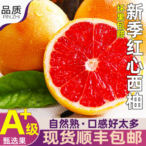 南非红心西柚新鲜葡萄柚