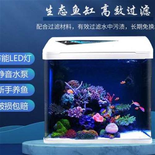 鱼缸水草缸水族箱懒人桌面缸小型中型家用免换水生态箱创意玻璃缸