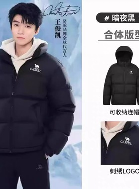 Camel/骆驼 2025AW 暖绒系列防风防泼水立领羽绒服 M13CR07066E