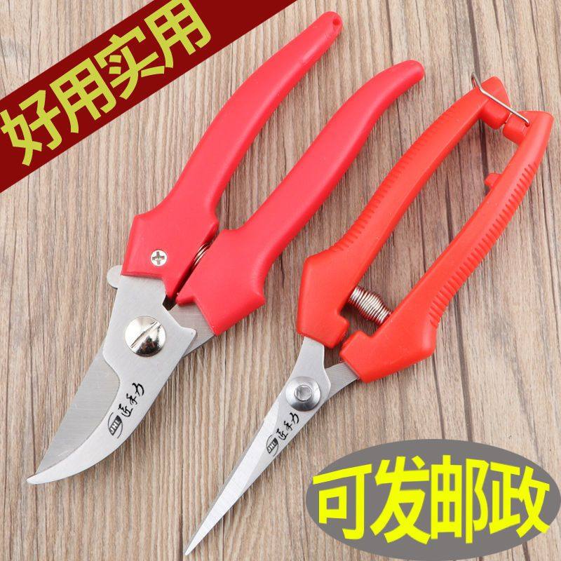 修枝剪子葡萄摘果剪 园林果树剪刀粗枝花剪 省力树枝修剪花的剪刀