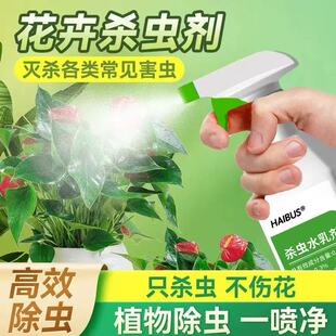小黑飞杀虫剂家用花盆花土壤灭花卉植物里面有非专杀虫虫净飞虫药