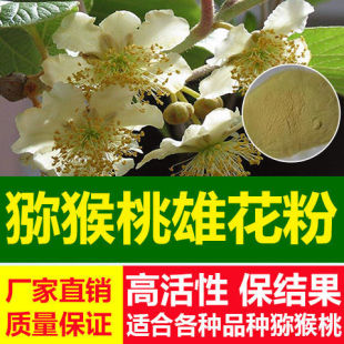 红心猕猴桃花粉红心黄心绿心猕猴桃花粉高活性人工授粉公树雄花粉