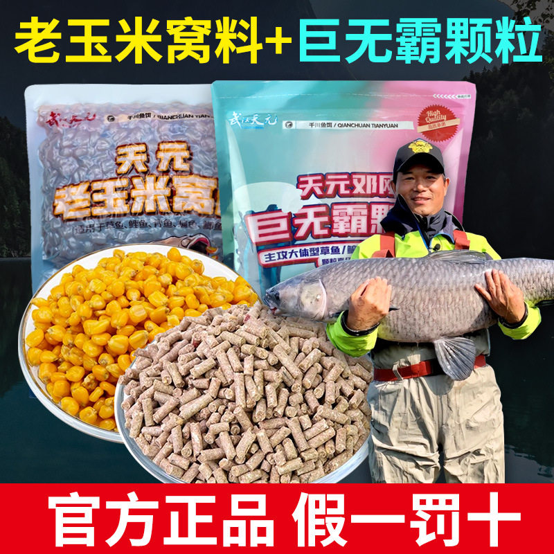 天元邓刚老玉米窝料巨无霸颗粒钓青草鱼专用专攻大巨物打窝鱼饵料