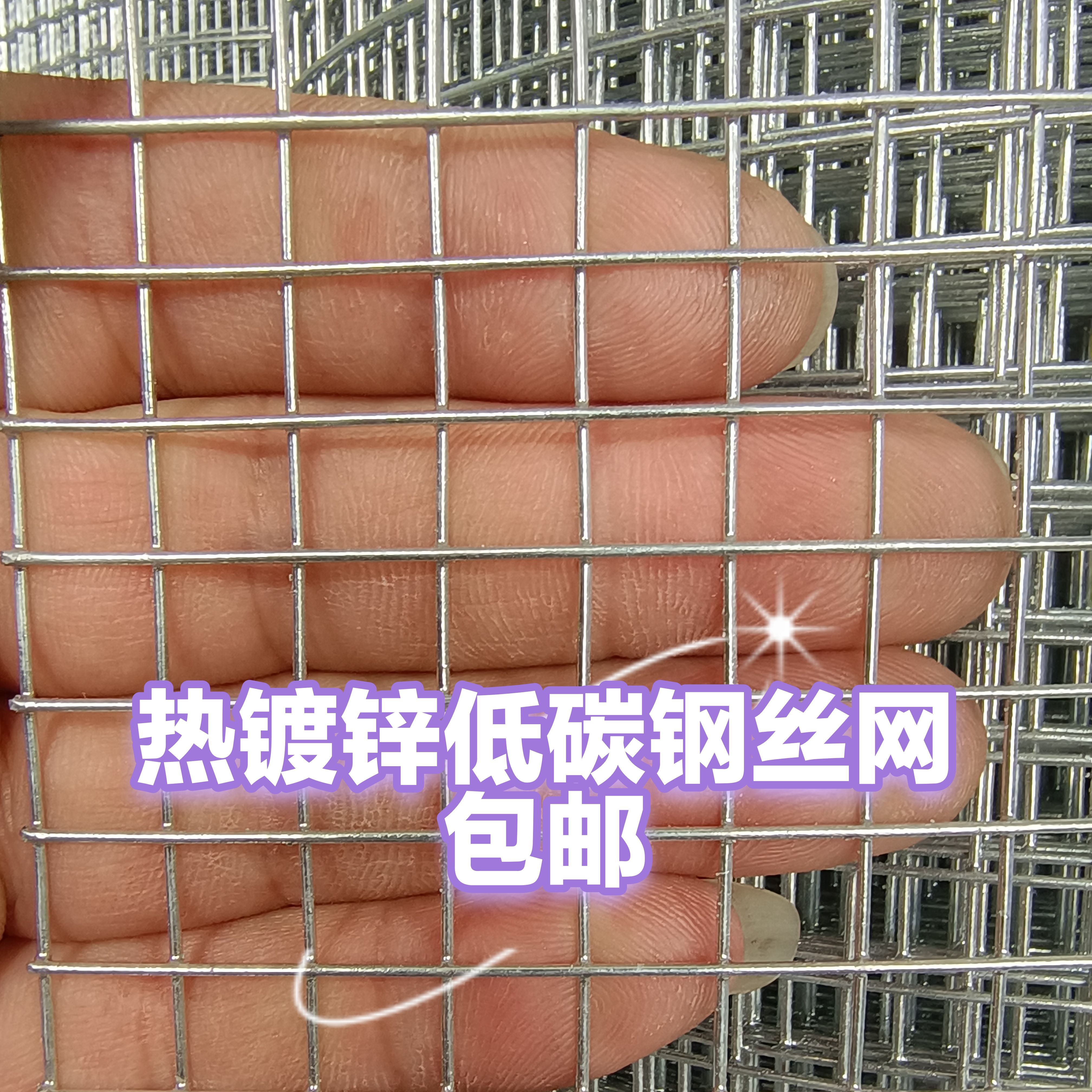 防护网电焊网养殖玉米果园热镀锌