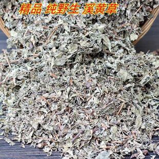 溪黄茶藤茶霉茶新鲜溪黄草养生茶广东凉茶甘甜茶溪黄草茶养肝野生