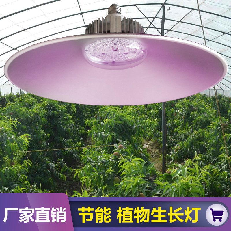大棚补光灯全光谱植物生长灯温室内兰花卉蔬菜叶菜绿植多肉育苗灯