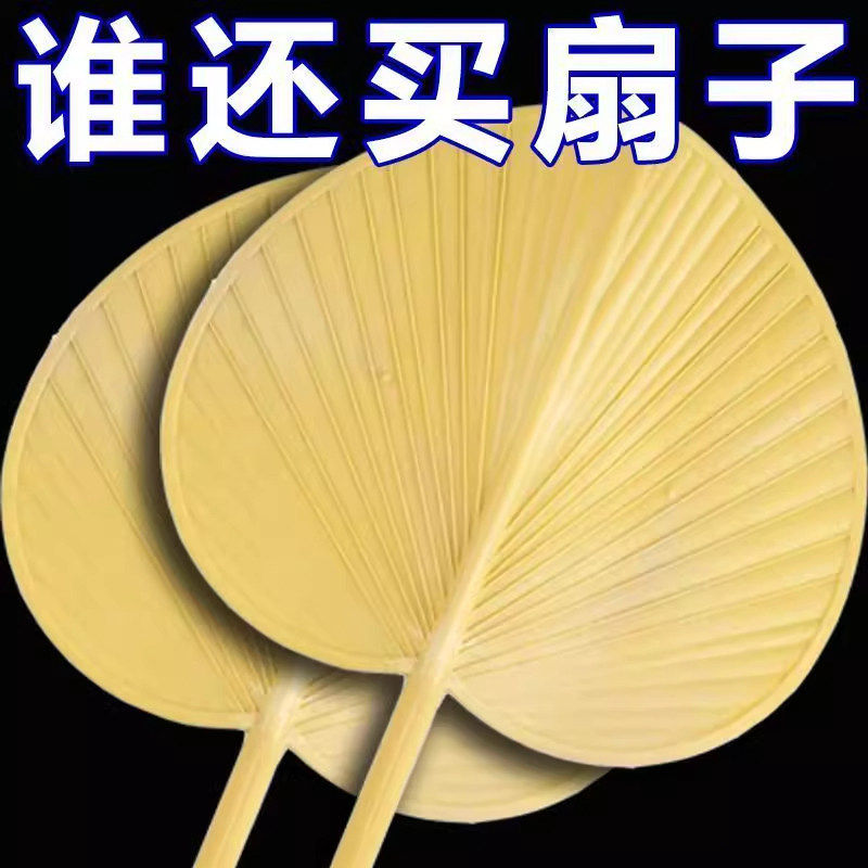 蒲扇塑料手摇加厚加大夏季扇子家用防摔坏芭蕉耐用扇面老式大蒲扇
