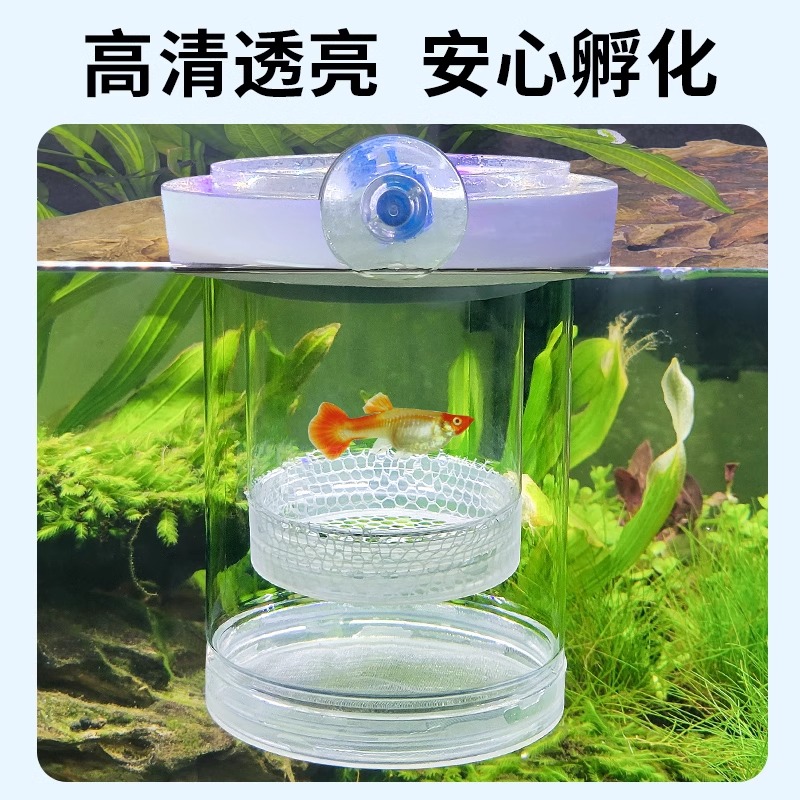 孔雀鱼繁殖盒悬浮式孵化器生产隔离盒鱼苗漂浮孵化箱实用设计