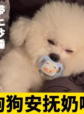 宠物小狗狗奶狗猫咪专用安抚奶嘴磨牙玩具刚出生新生幼崽小猫用品