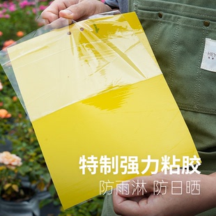 粘虫板黄板双面粘小飞虫果园果蝇诱捕器大棚灭苍蝇贴强粘力粘蝇纸