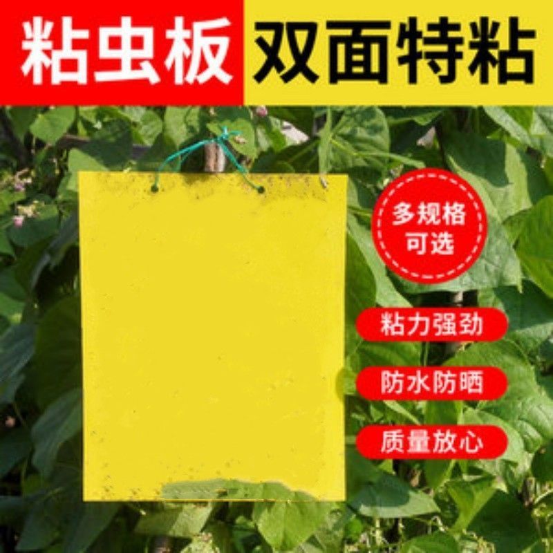 双面粘虫黄板果园茶园实蝇针蜂蓟马诱捕柑橘飞虫大棚室内用