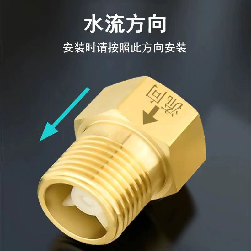 马桶全铜止回阀止逆阀防反水