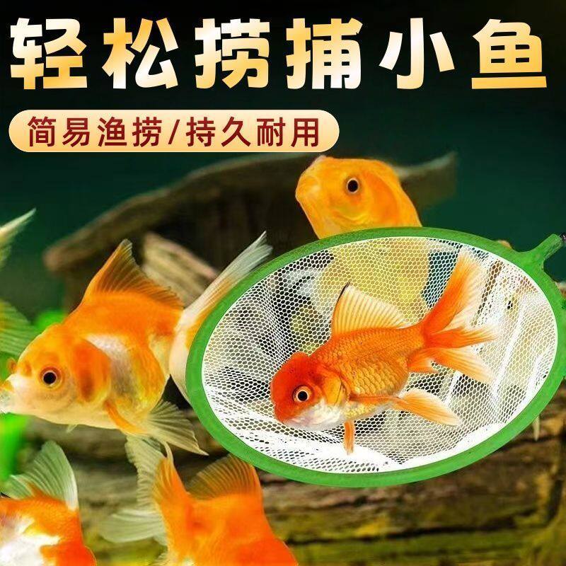 捞鱼小网兜轻松捞鱼不伤鱼便携式渔捞鱼缸金鱼观赏鱼密网抄网捕鱼