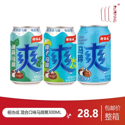 杨协成椰子马蹄薄荷马蹄爽饮料