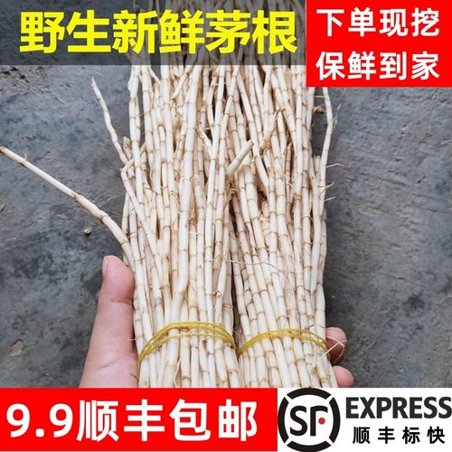 顺丰包邮】新鲜白茅根广东凉茶